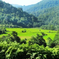 روستای جمشید آباد